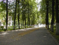 Бульвар на ул. Ленина