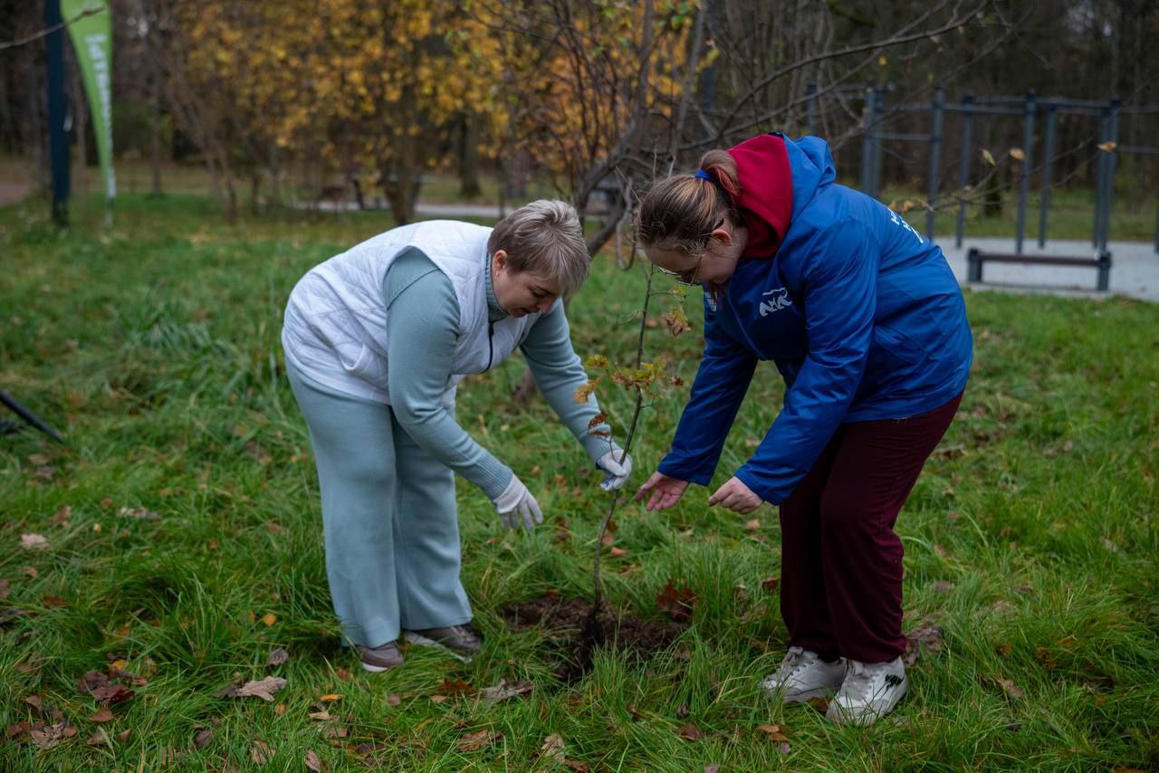 В преддверии Дня отца в лесопарке Фрязино состоялась акция «Отцовский парк»