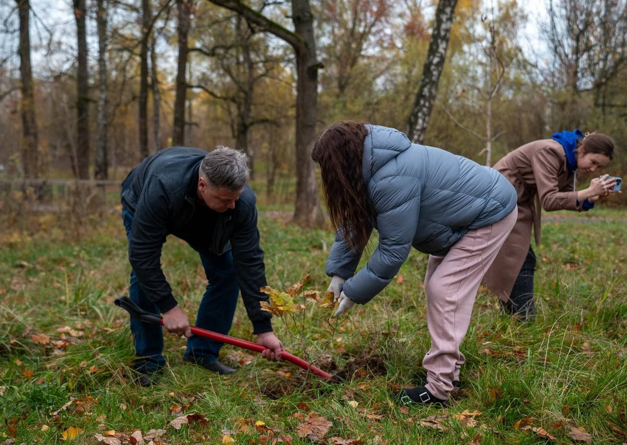 В преддверии Дня отца в лесопарке Фрязино состоялась акция «Отцовский парк»