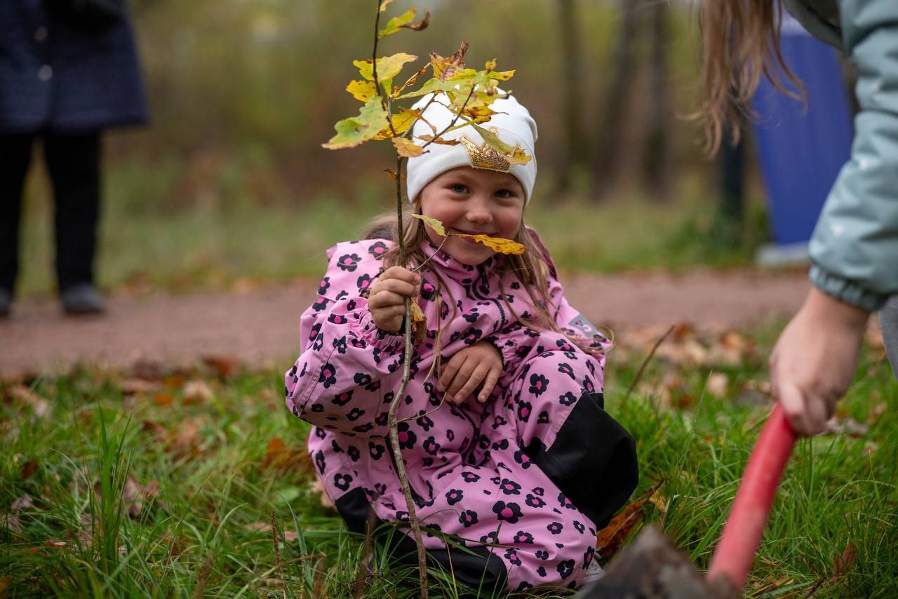 В преддверии Дня отца в лесопарке Фрязино состоялась акция «Отцовский парк»