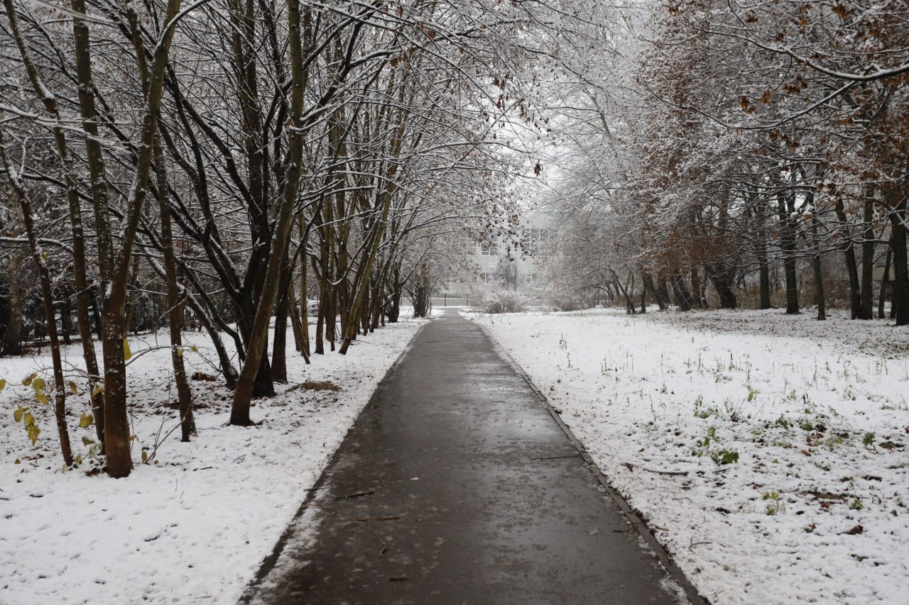 Первый снег — экзамен для коммунальных служб. И Фрязино к нему готов!