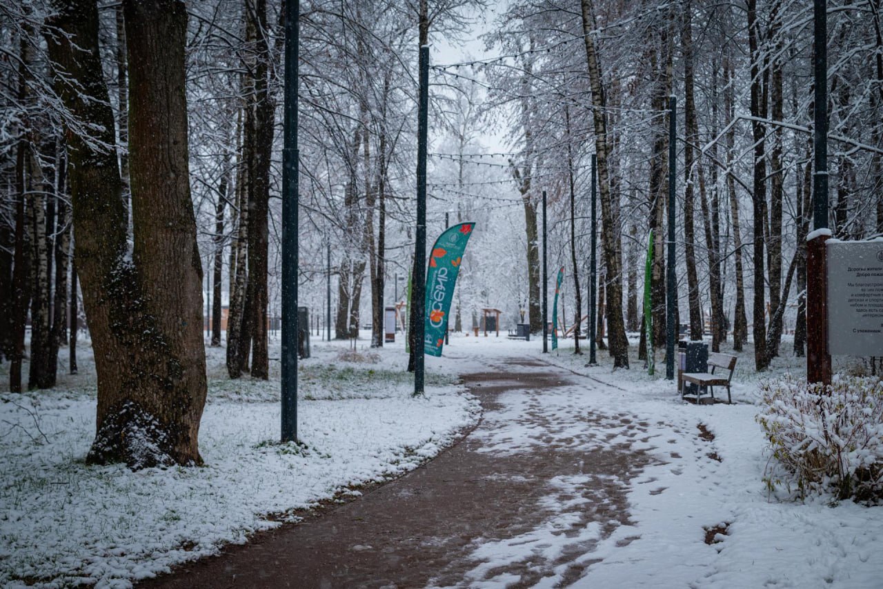 Фрязинский лесопарк завершил подготовку к зимнему сезону