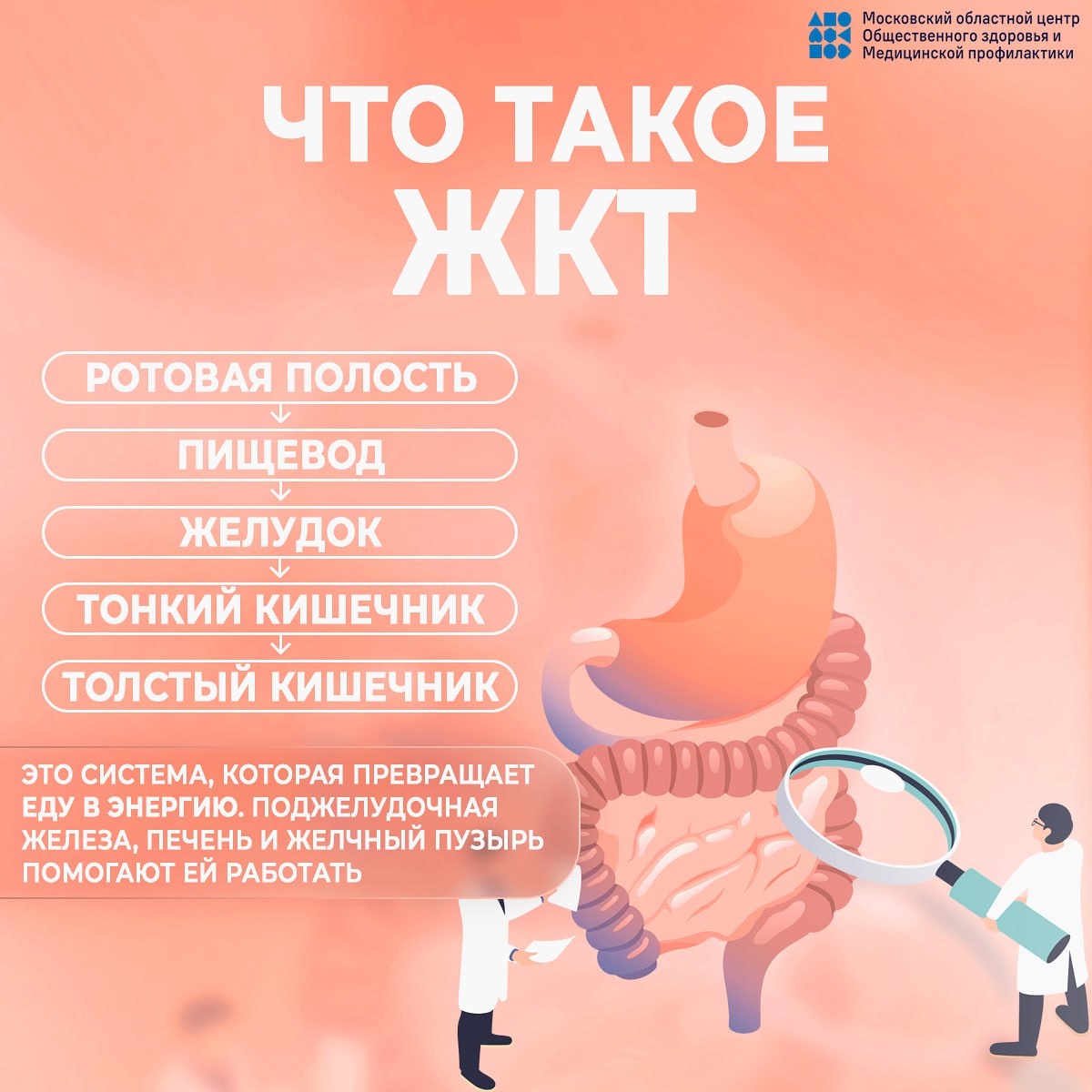 24 – 30 НОЯБРЯ – НЕДЕЛЯ ПРОФИЛАКТИКИ ЗАБОЛЕВАНИЙ ЖКТ