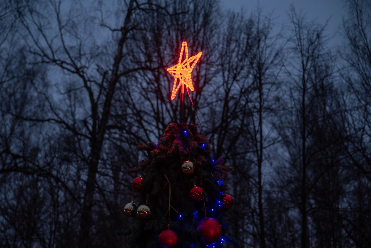 Во Фрязинском лесопарке в первый день зимы открылась резиденция Деда Мороза