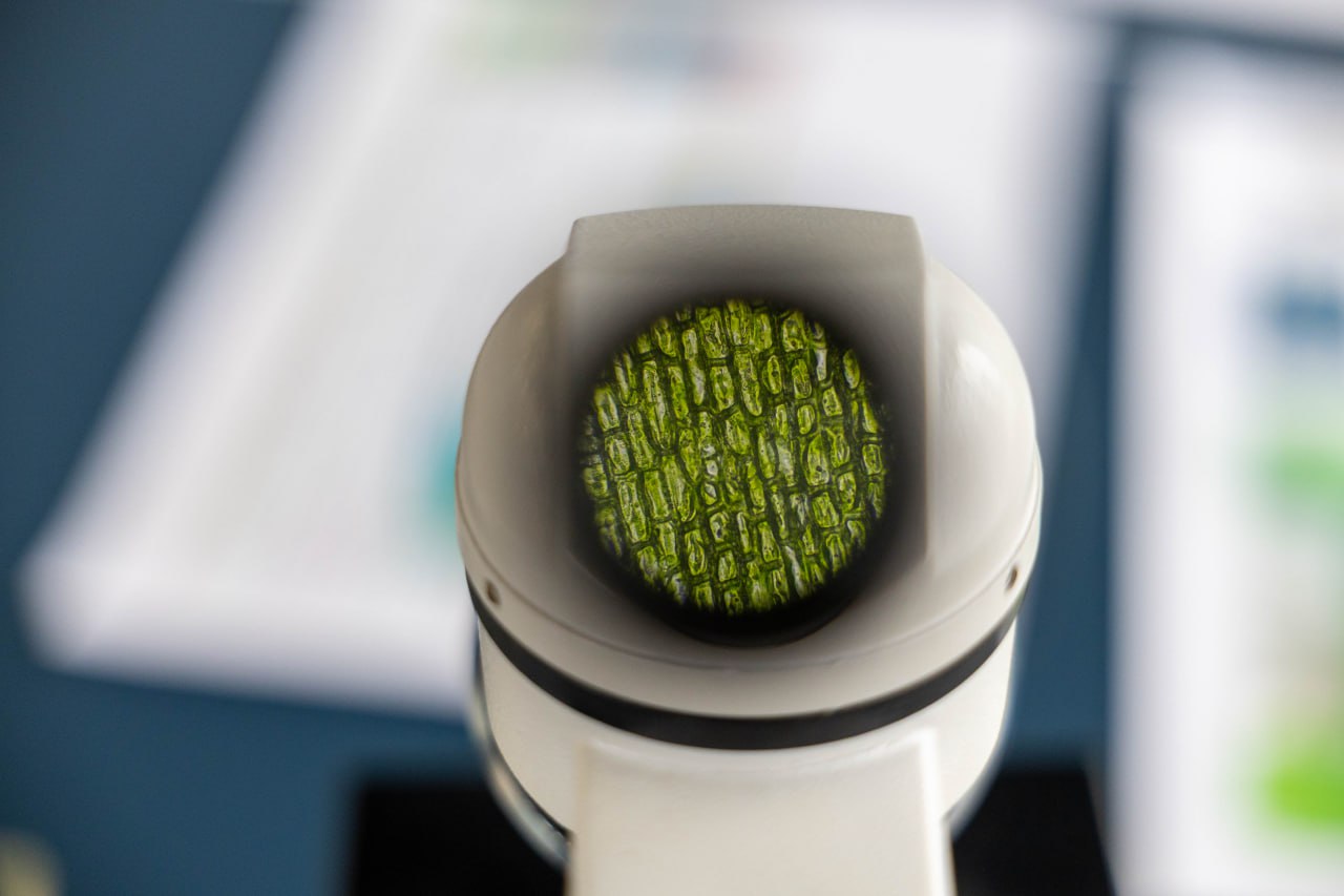 На базе уникального технопарка &laquo;Исток &mdash; РТУ МИРЭА&raquo; состоялось значимое событие для системы образования и будущего нашего молодого поколения &mdash; муниципальный профориентационный образовательный форум &laquo;PRO-будущее: ГИА. Осознанность. Профориентация&raquo;