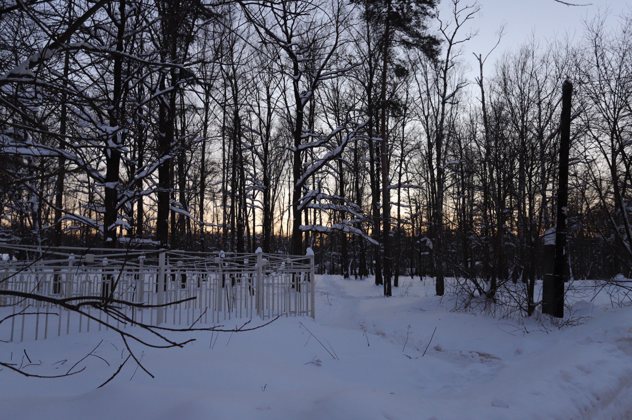 Заместитель главы Фрязино Ирина Копыльченко обсудила с жителями перспективы благоустройства лесного массива на улице Горького