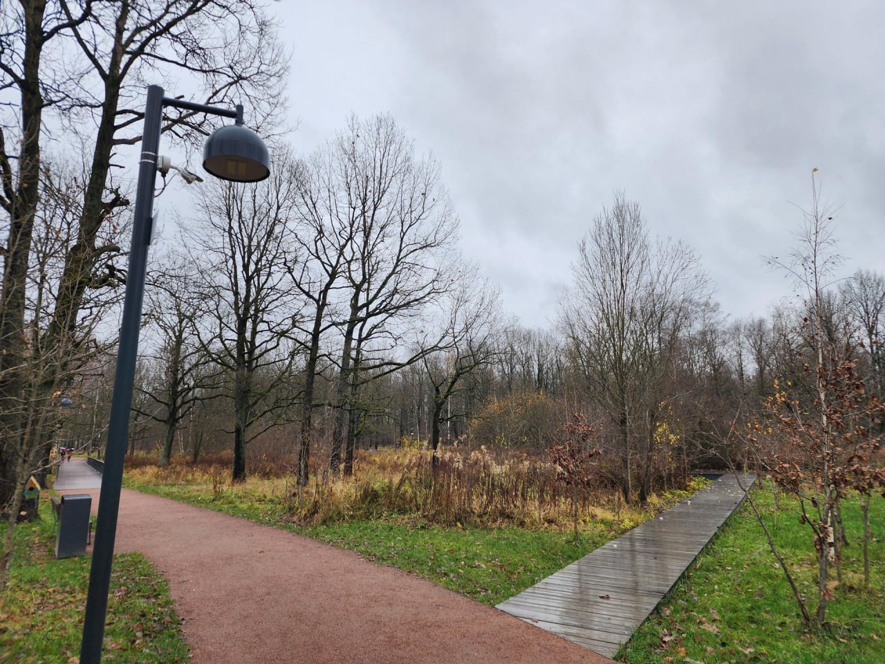 Во Фрязинском лесопарке установили умные камеры