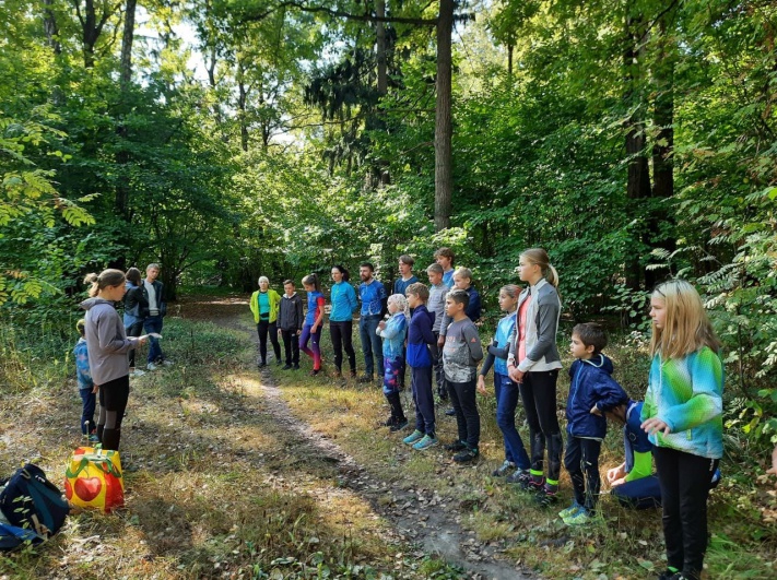 Итоги антинаркотического месячника на территории городского округа Фрязино