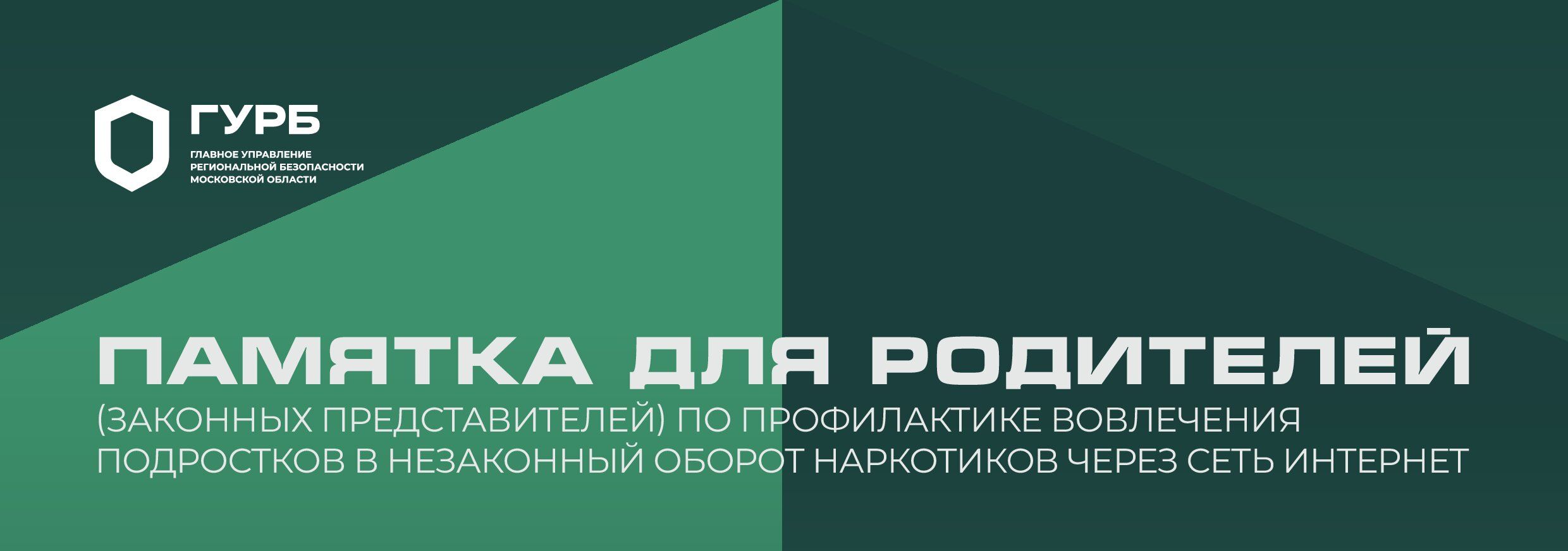 Памятка для родителей по профилактике вовлечения подростков в незаконный оборот наркотиков через сеть интернет