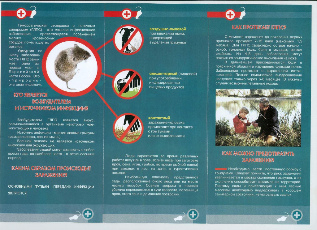 Геморрагическая лихорадка с почечным синдромом (ГЛПС): скрытая угроза от грызунов