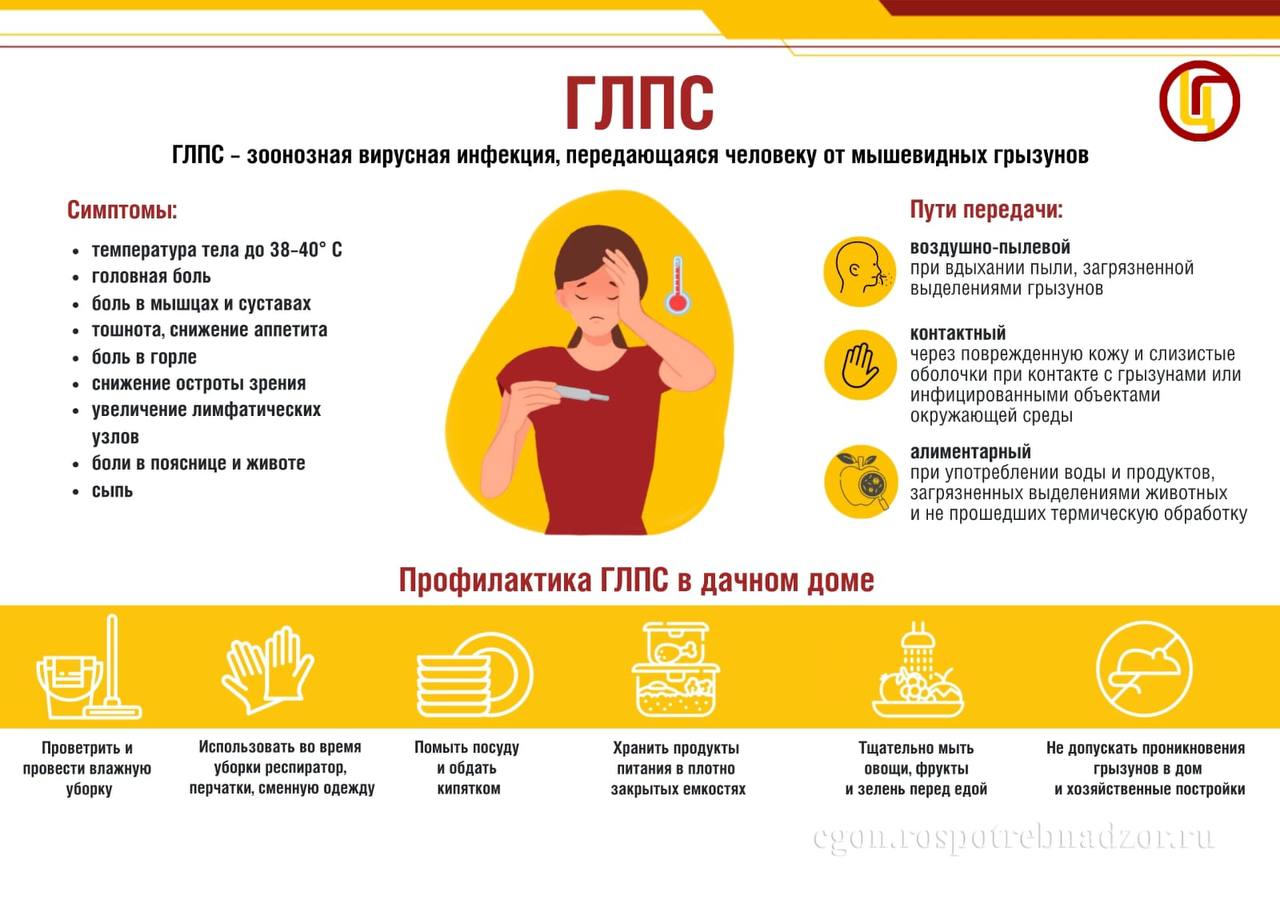 Геморрагическая лихорадка с почечным синдромом (ГЛПС): скрытая угроза от грызунов