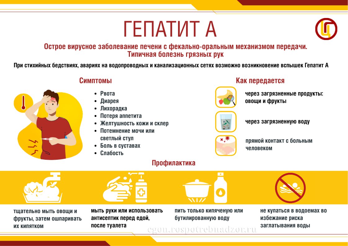 Профилактика гепатита А и Е