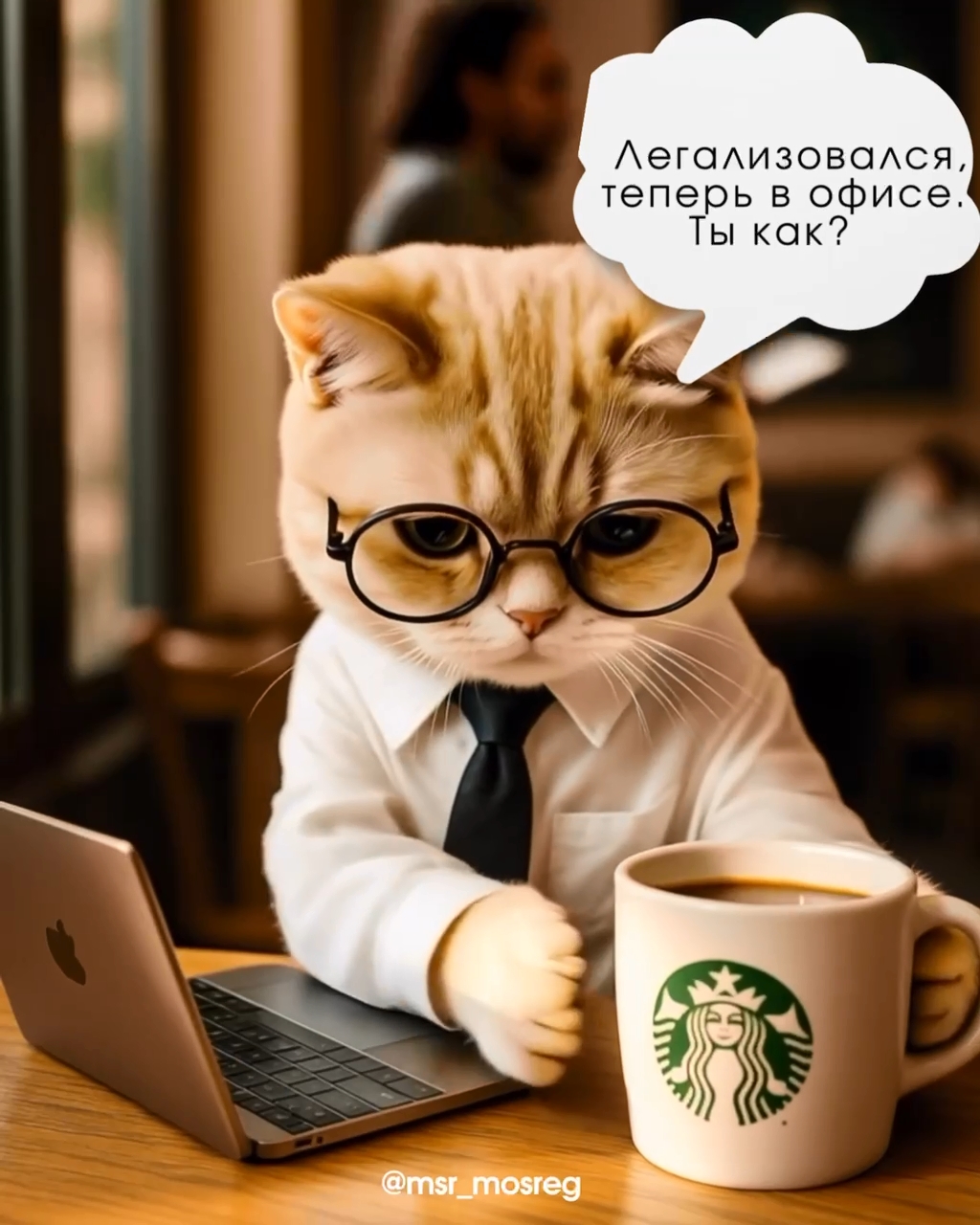 92% серых работников Подмосковья вышли в свет