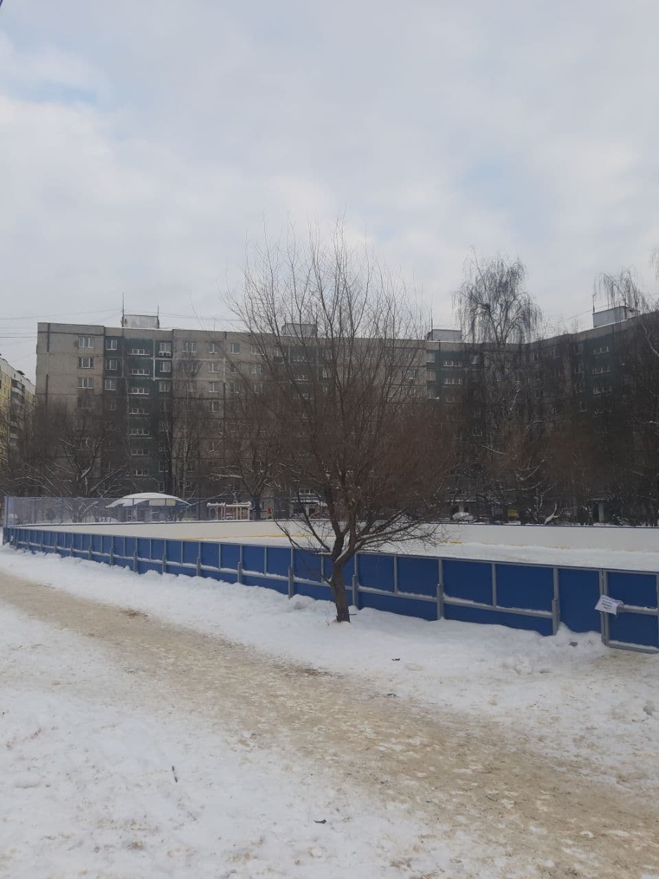 Приобретение и установка хоккейной коробки с элементами благоустройства по адресу: городской округ Фрязино, проспект Мира, в районе дома 20А