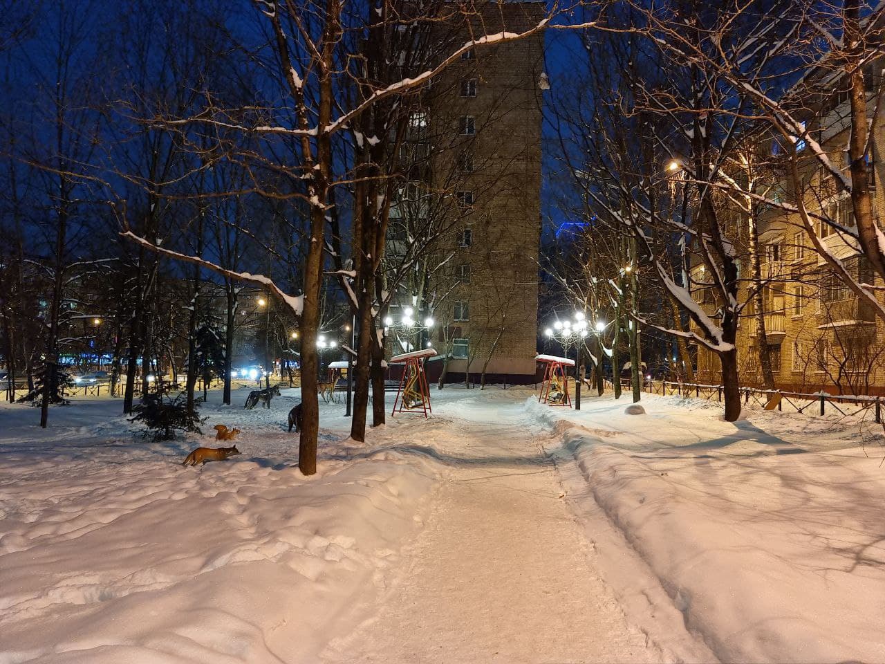 Благоустройство сквера «СКАЗКА» по адресу: ул.Московская, в районе дома 2Б