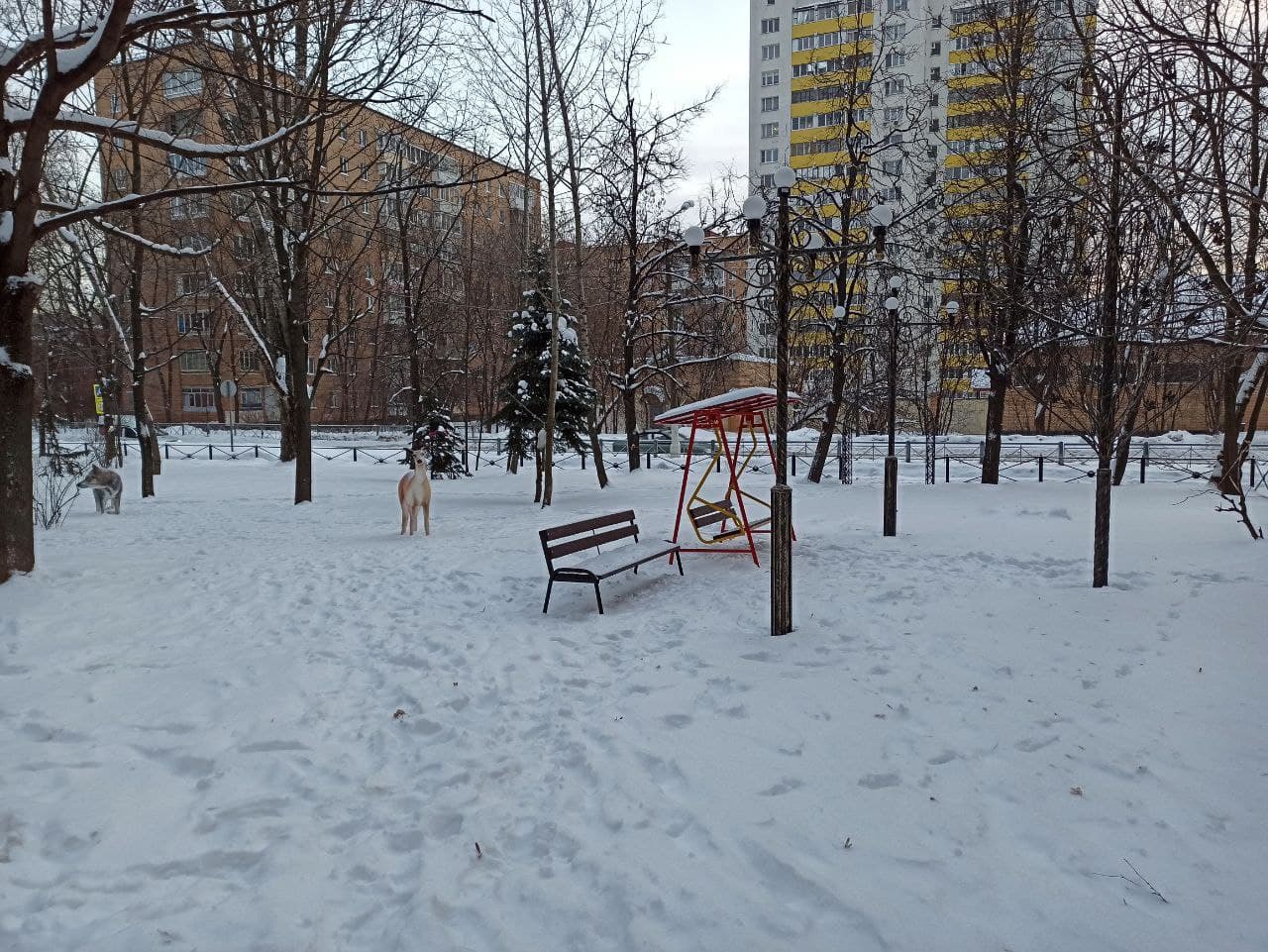 Благоустройство сквера «СКАЗКА» по адресу: ул.Московская, в районе дома 2Б