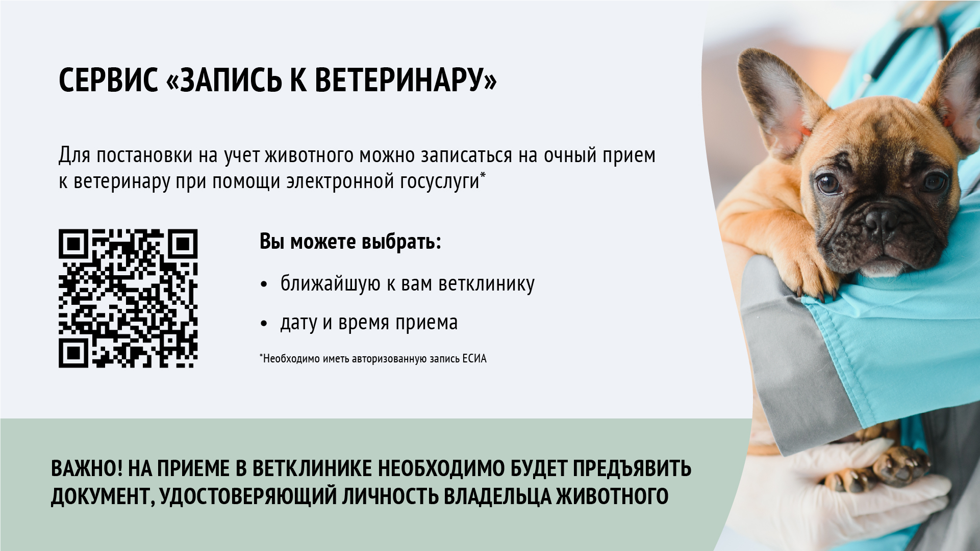 О регистрации домашних животных в Московской области