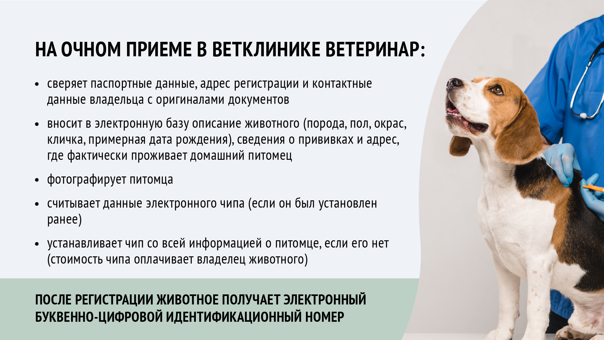 О регистрации домашних животных в Московской области