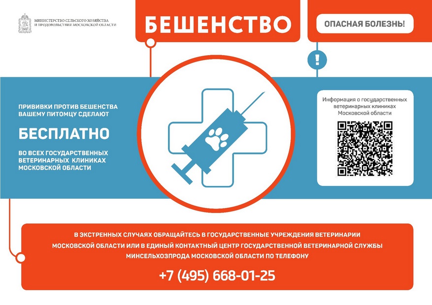ПРИВИВКИ ПРОТИВ БЕШЕНСТВА ВАШЕМУ ПИТОМЦУ СДЕЛАЮТ БЕСПЛАТНО ВО ВСЕХ ГОСУДАРСТВЕННЫХ ВЕТЕРИНАРНЫХ КЛИНИКАХ МОСКОВСКОЙ ОБЛАСТИ