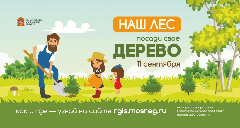 Акция «Наш лес. Посади свое дерево»