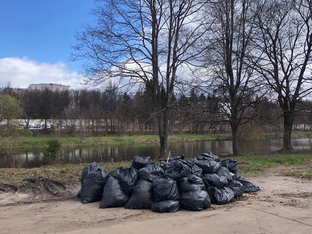 Во Фрязино состоялась Всероссийская экологическая акция «Вода России» по очистке от мусора берегов водных объектов