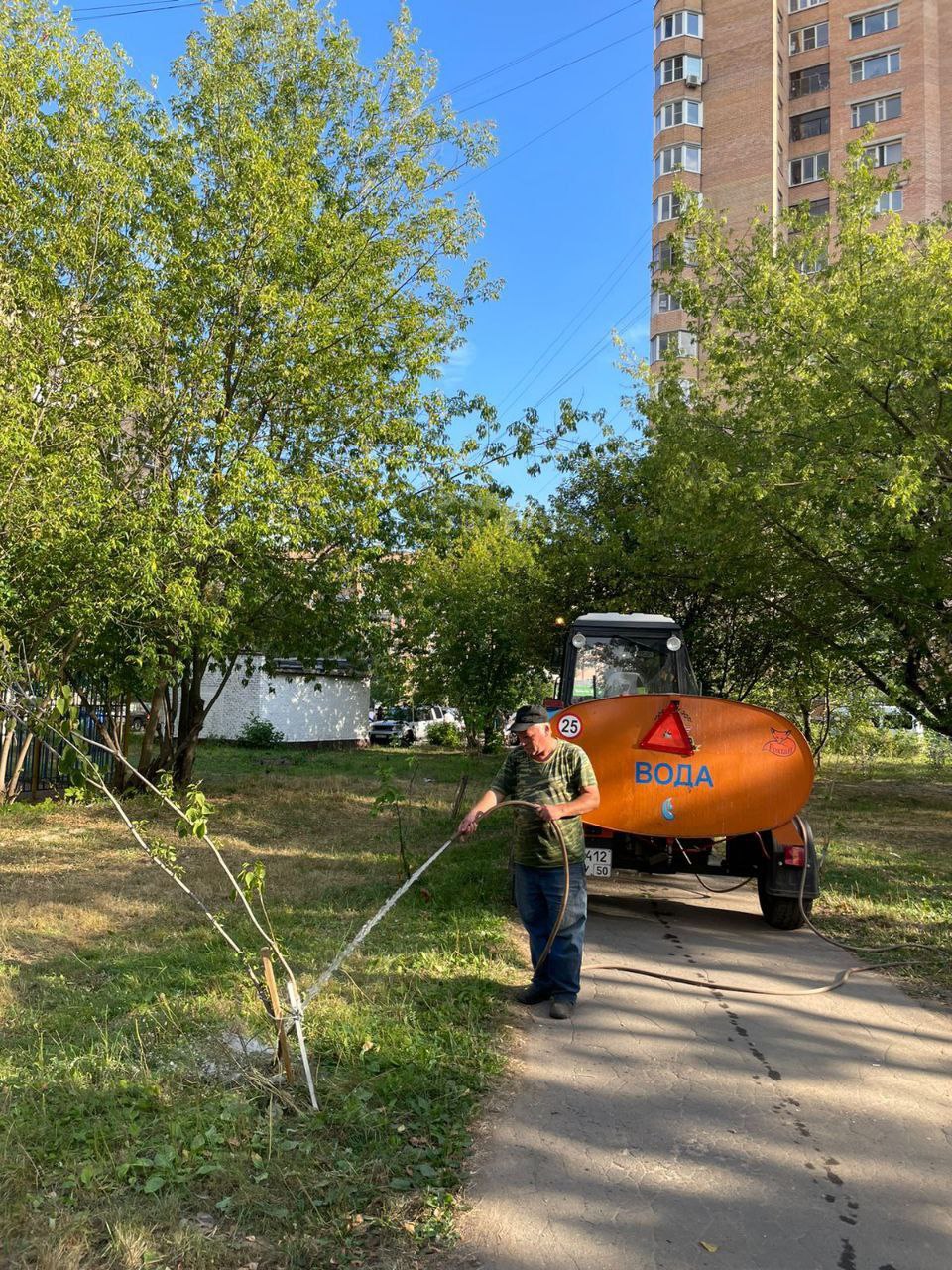 В городском округе Фрязино организован ежедневный полив зеленых насаждений в жаркую погоду - утром и вечером
