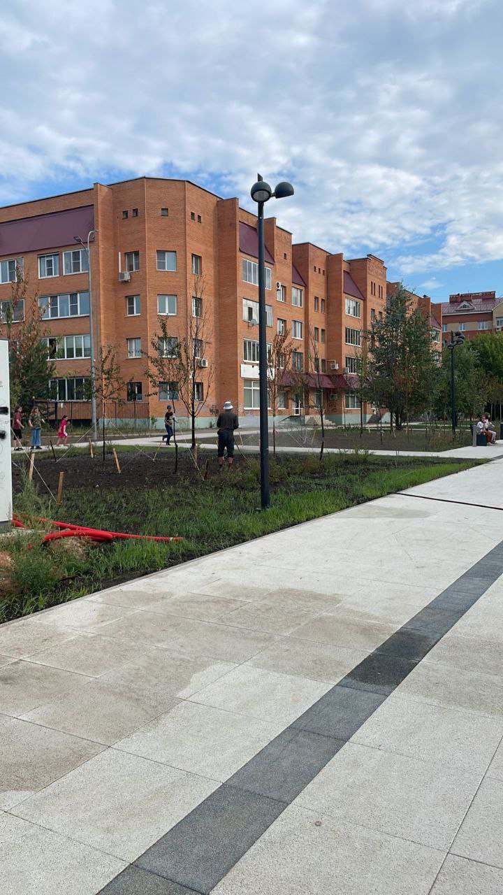 В городском округе Фрязино организован ежедневный полив зеленых насаждений в жаркую погоду - утром и вечером