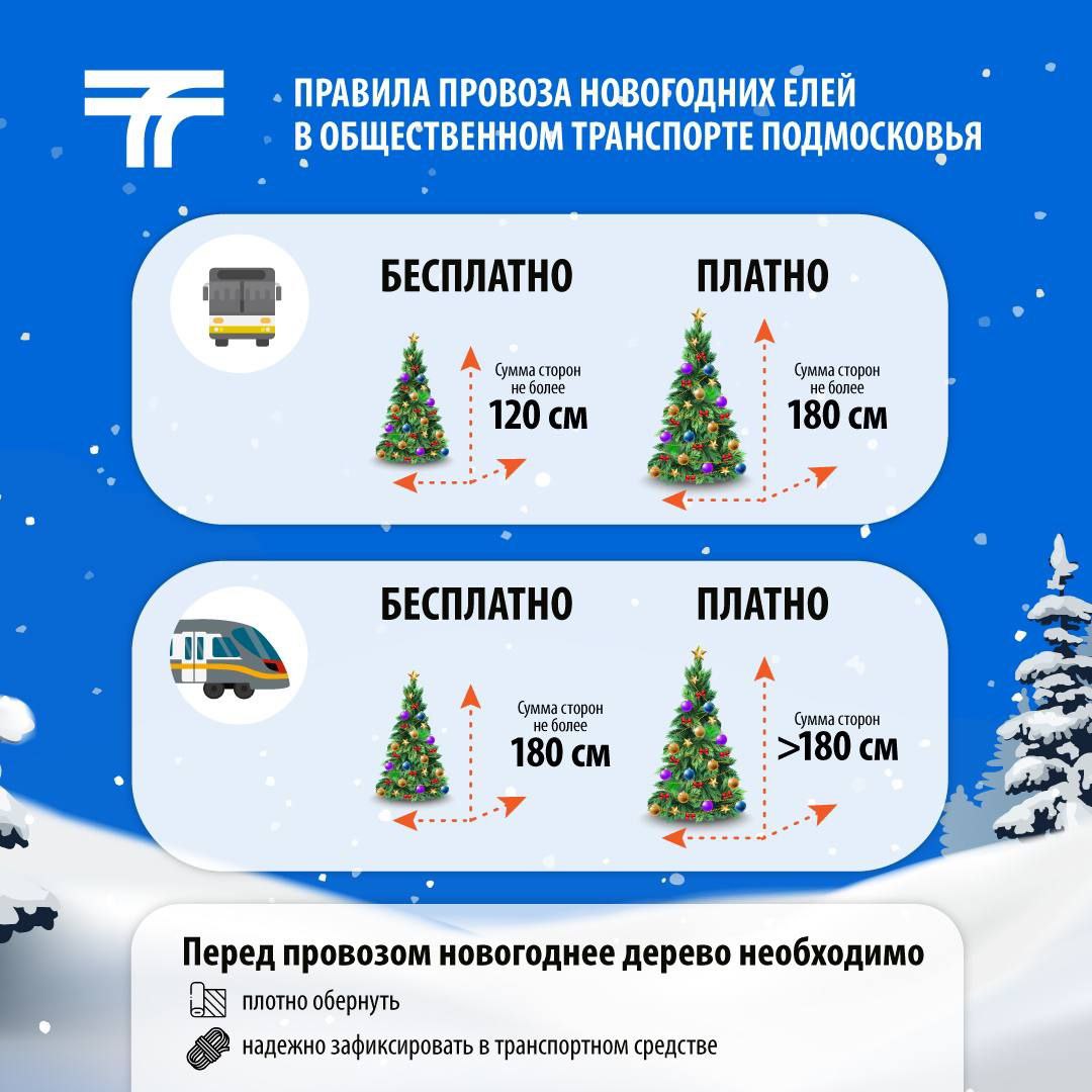 памятка о правилах перевозки новогоднего дерева