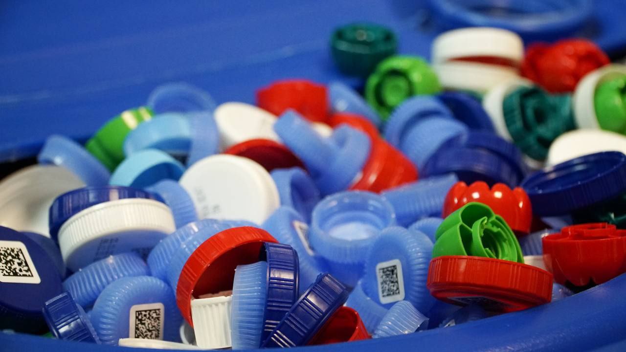 Пополнение в команде экологического движения «Сдавайся!»