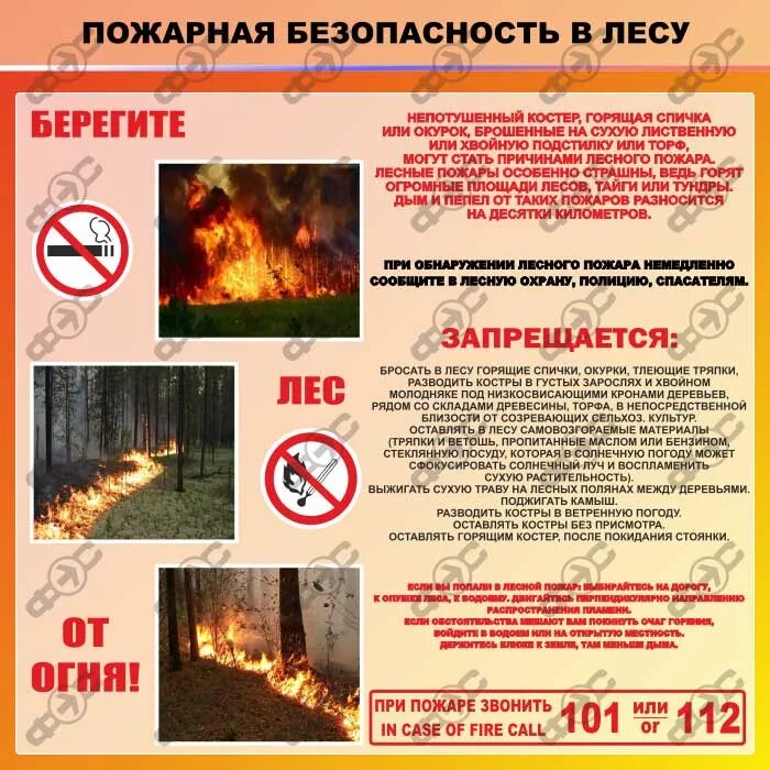 Памятка "Пожарная безопасность в лесу"