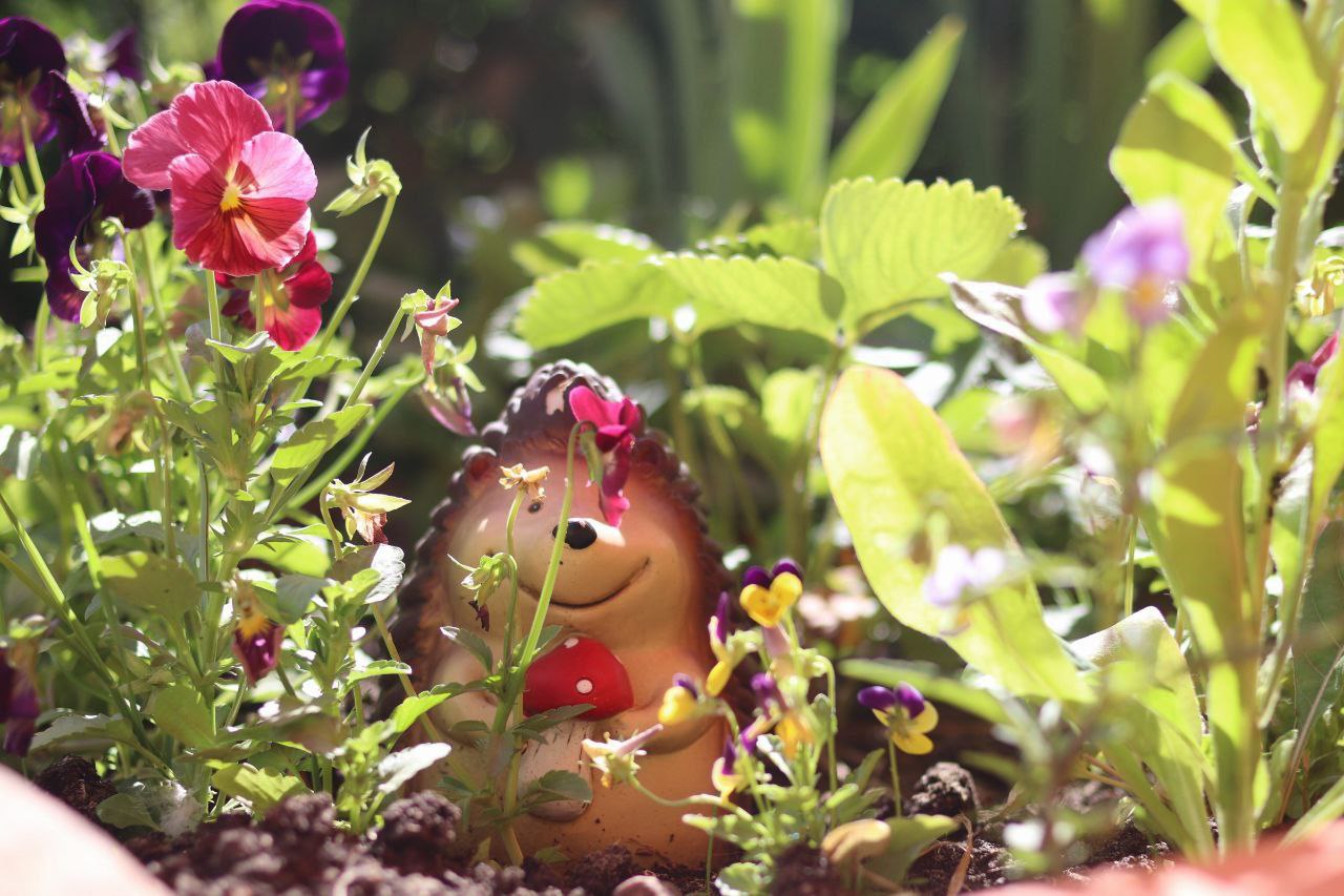 Глава Наукограда Дмитрий Воробьев вместе с председателем Совета депутатов Еленой Романовой, членами комиссии и жителями округа в рамках очного этапа конкурса осмотрели территорию МДОУ №14 и МДОУ №10