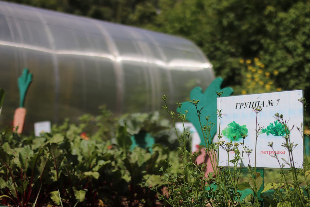 Глава Наукограда Дмитрий Воробьев вместе с председателем Совета депутатов Еленой Романовой, членами комиссии и жителями округа в рамках очного этапа конкурса осмотрели территорию МДОУ №14 и МДОУ №10