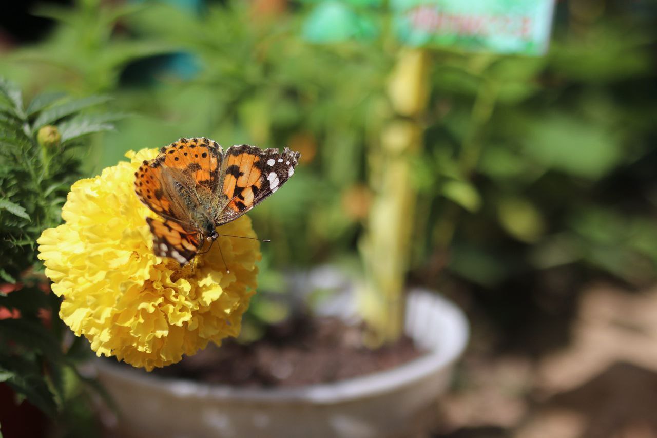 Глава Наукограда Дмитрий Воробьев вместе с председателем Совета депутатов Еленой Романовой, членами комиссии и жителями округа в рамках очного этапа конкурса осмотрели территорию МДОУ №14 и МДОУ №10