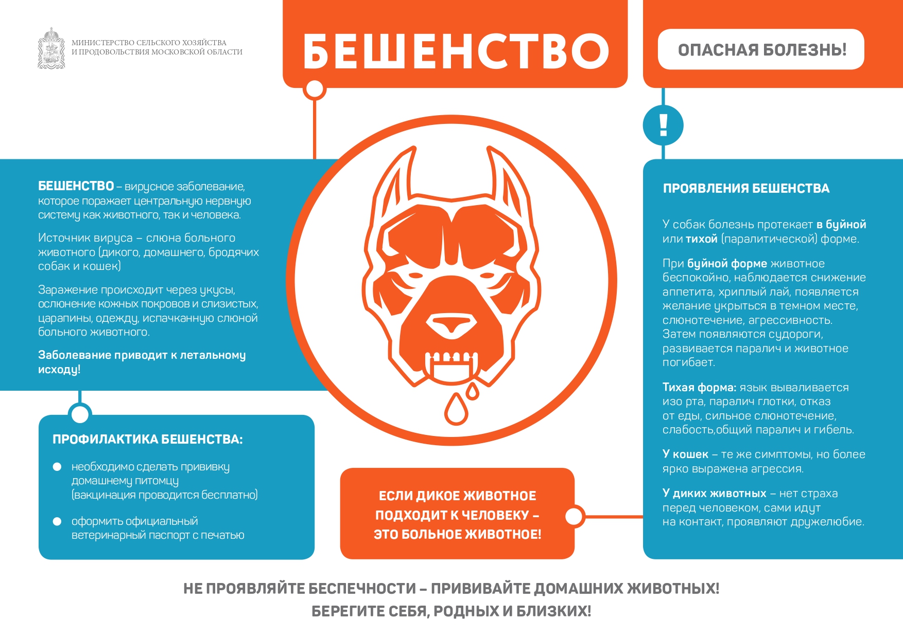 Памятка о недопущении бешенства среди животных