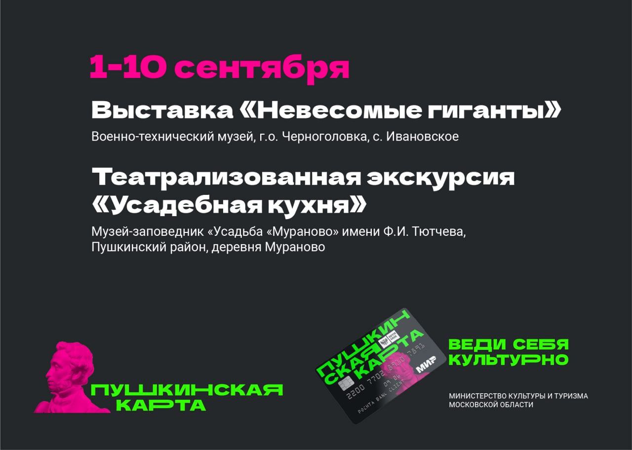 Сегодня ровно год с момента запуска в России программы «Пушкинская карта»