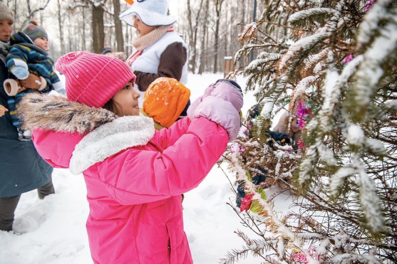 В эти выходные во фрязинском лесопарке прошли тематические программы «Сказочная зима» и «Радостные выходные»