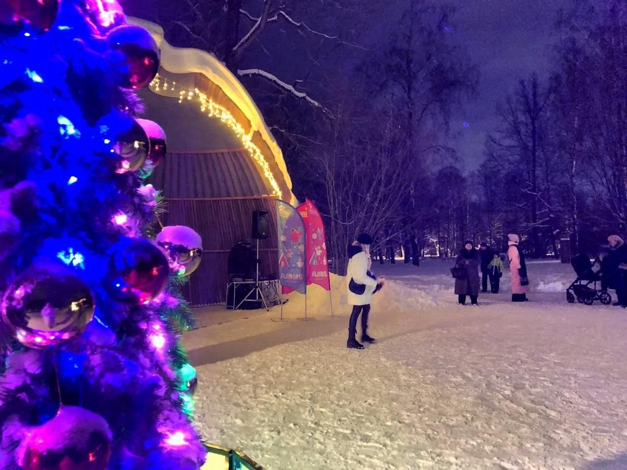 Во Фрязинском лесопарке прошли «Морозные традиции»