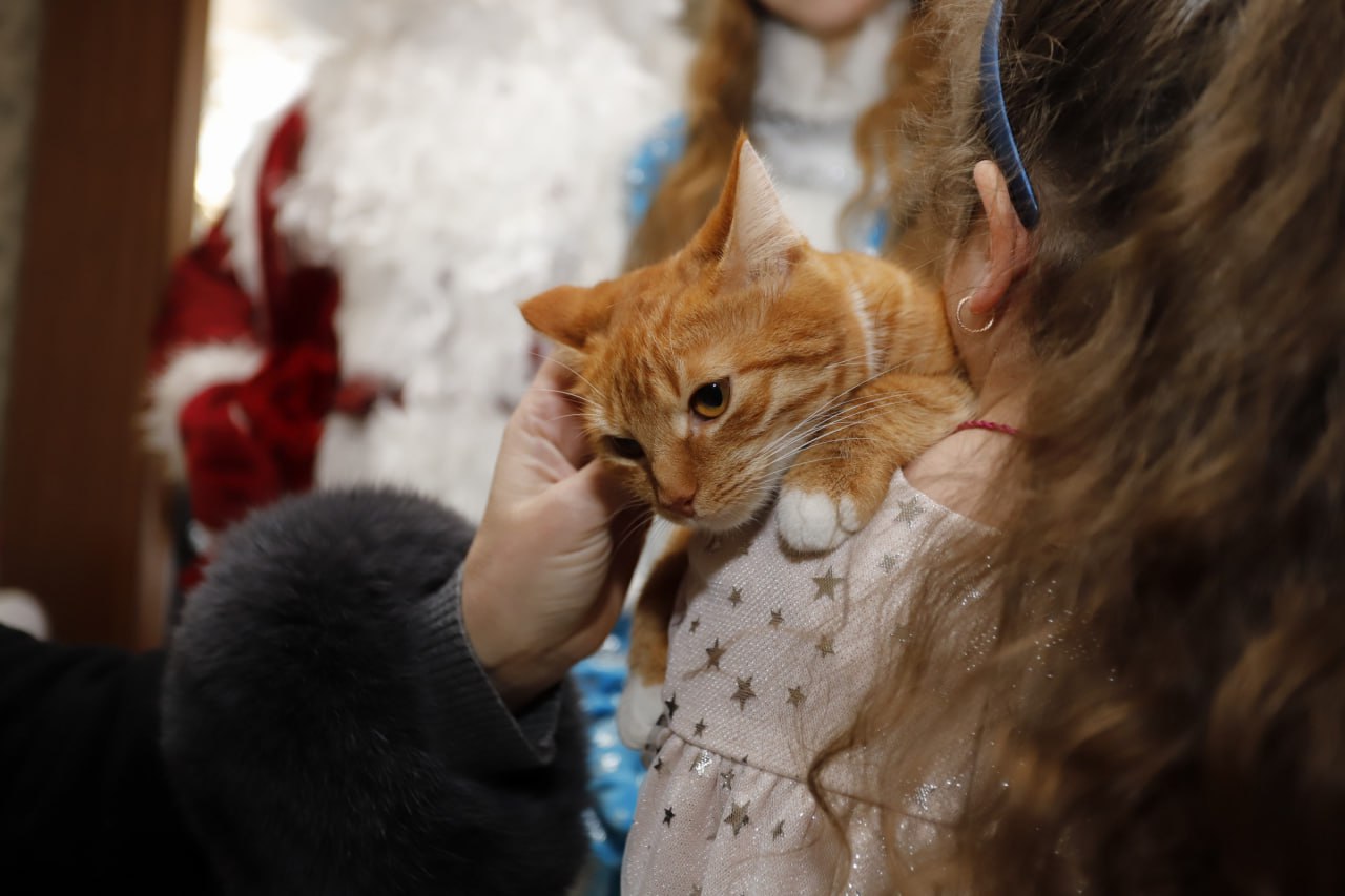 Сегодня в гости к детям пришли всеми любимые новогодние персонажи: Дедушка Мороз и Снегурочка