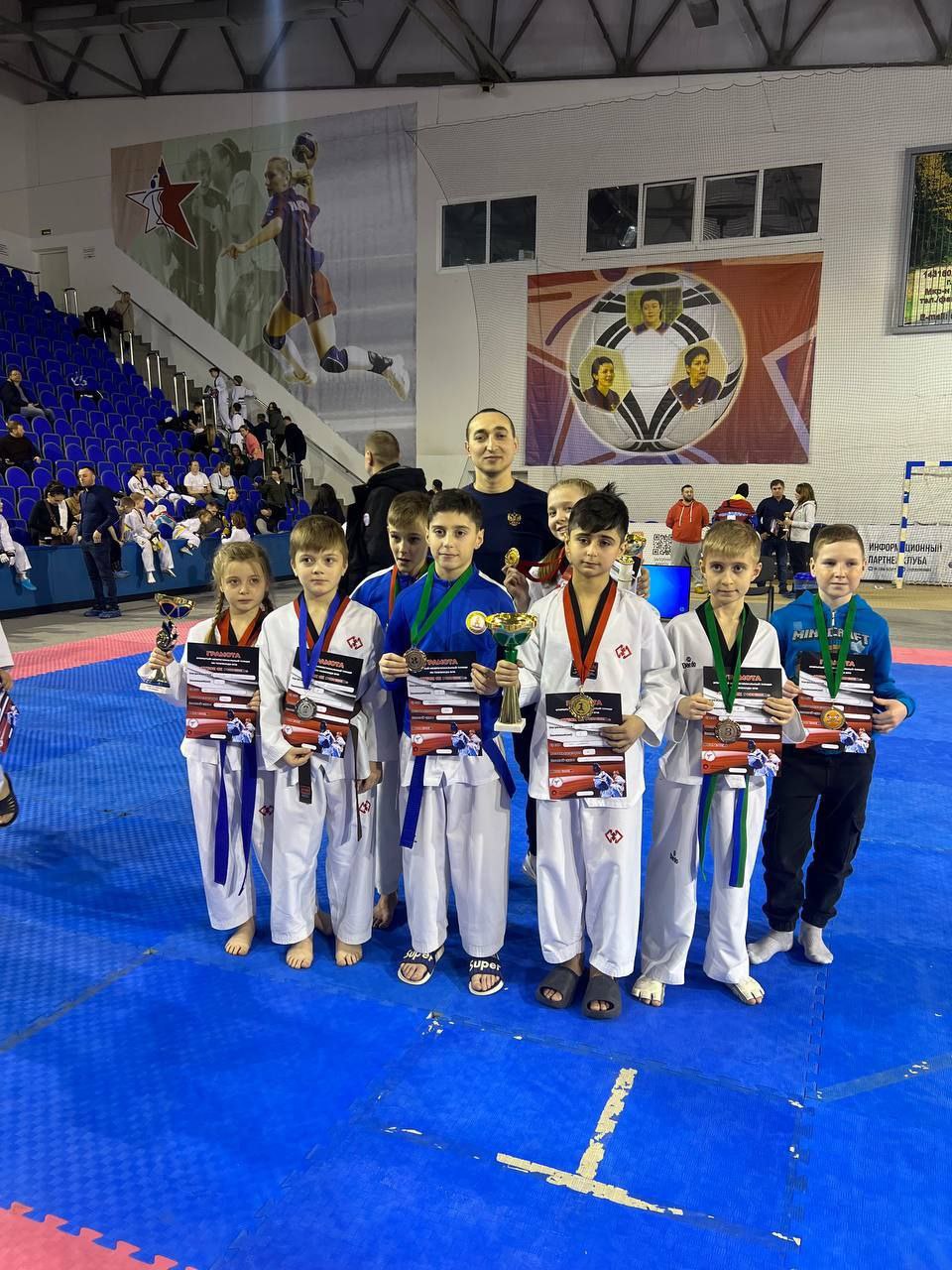 Фрязинские тхэквондисты показали свое мастерство в Звенигороде