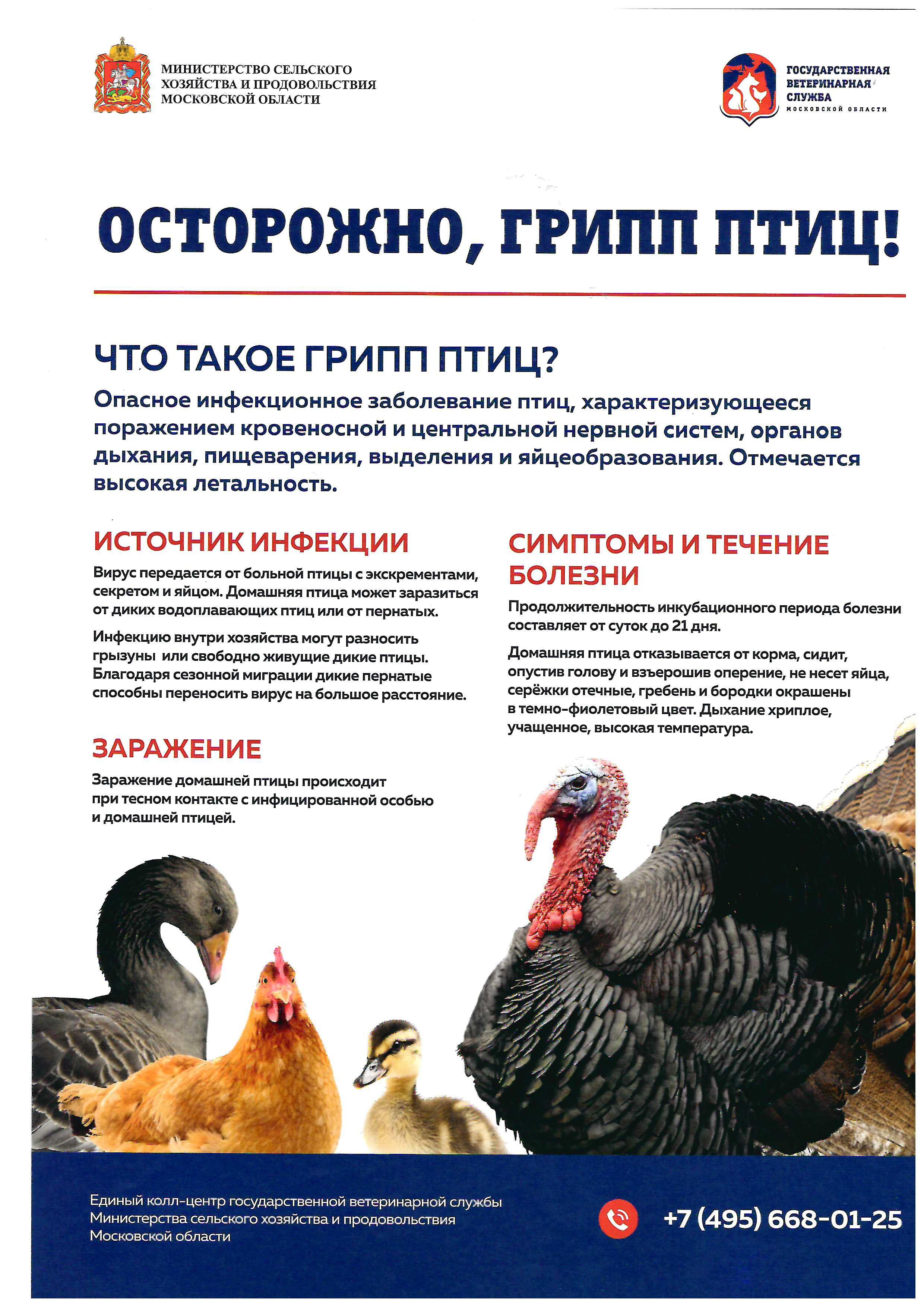 ВНИМАНИЕ! Высокопатогенный грипп птиц!