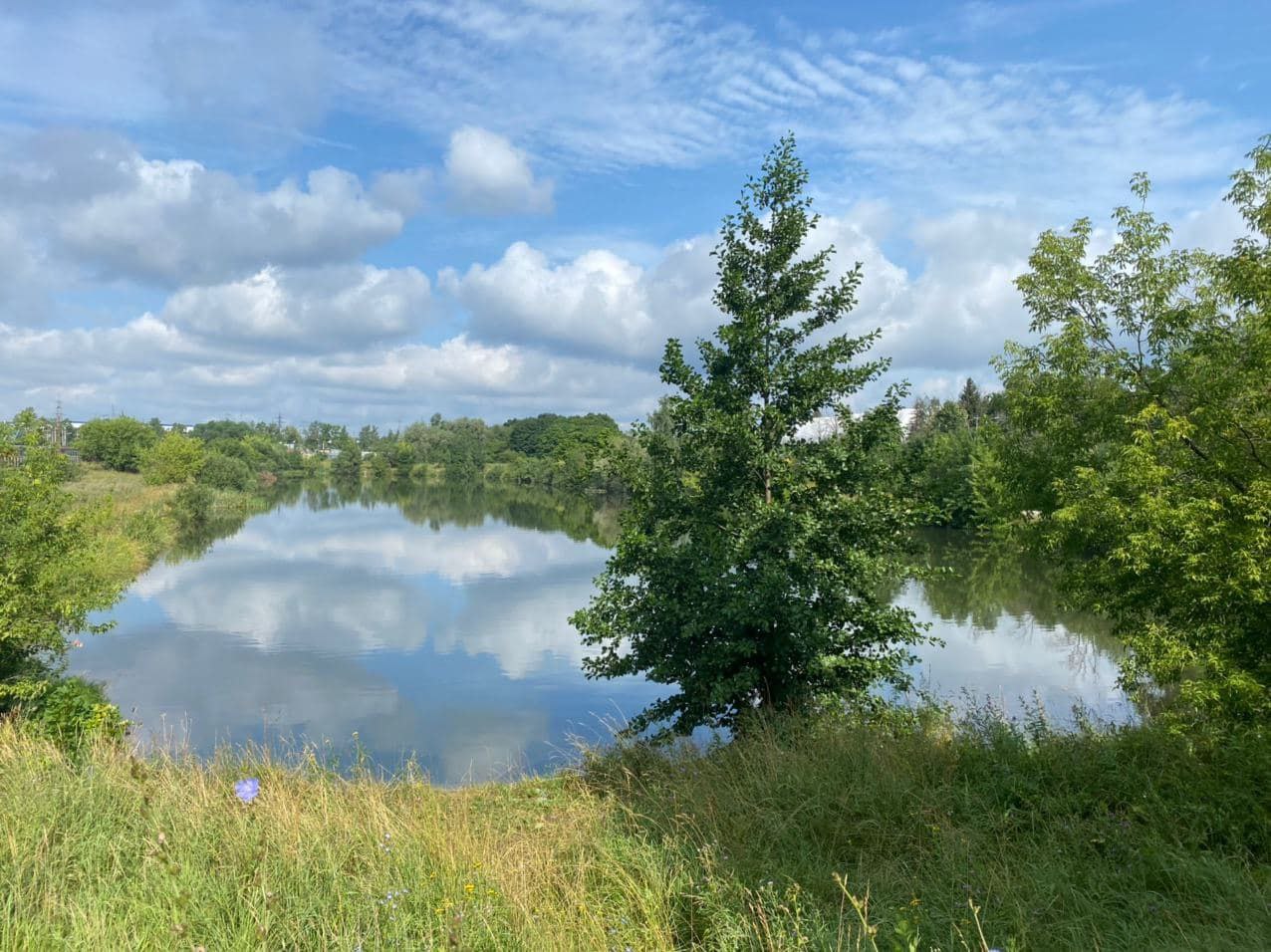 13 июня 2023 года начнутся работы в рамках программы «100 прудов и озер» по санитарной расчистке технического пруда на территории города Фрязино Московской области