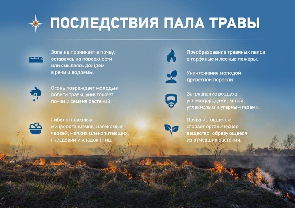 Травяной пал – это настоящее стихийное бедствие