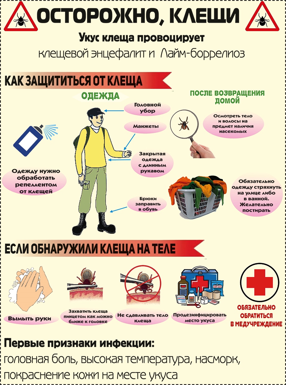 с 15.05.2023г. по 26.05.2023г. проводится «горячая линия» по вопросам профилактики заболеваний, передающихся с укусом клещей