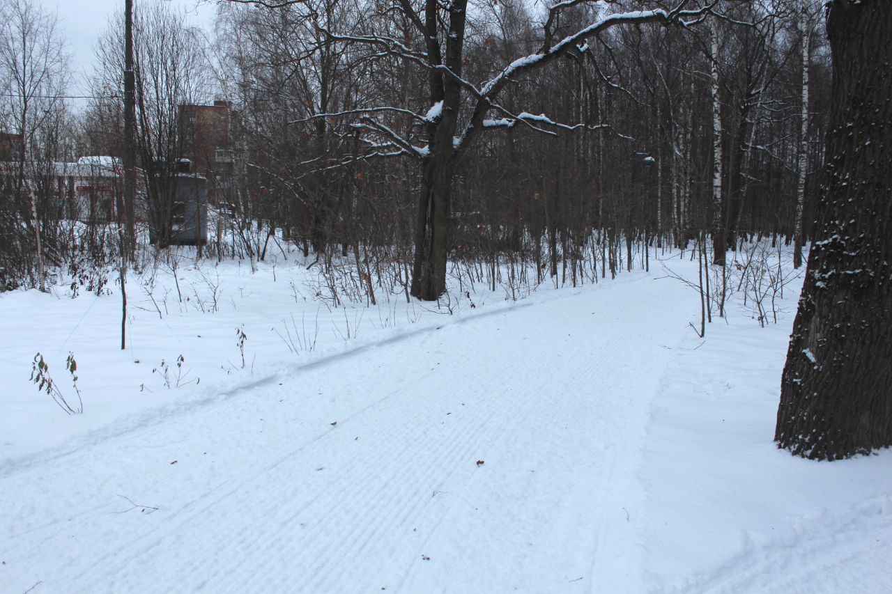 Отличная новость для тех, кто не представляет зиму без снега и лыж!