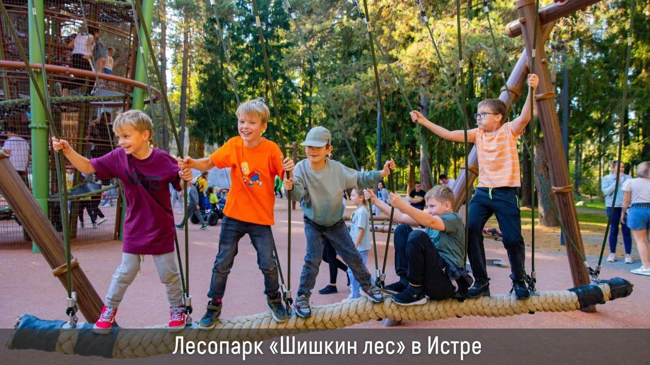 В этом году в Подмосковье запланировано благоустроить 9 лесопарков