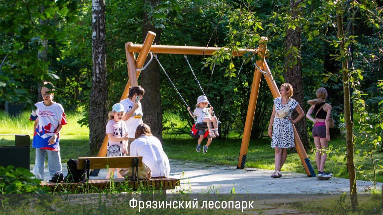В этом году в Подмосковье запланировано благоустроить 9 лесопарков