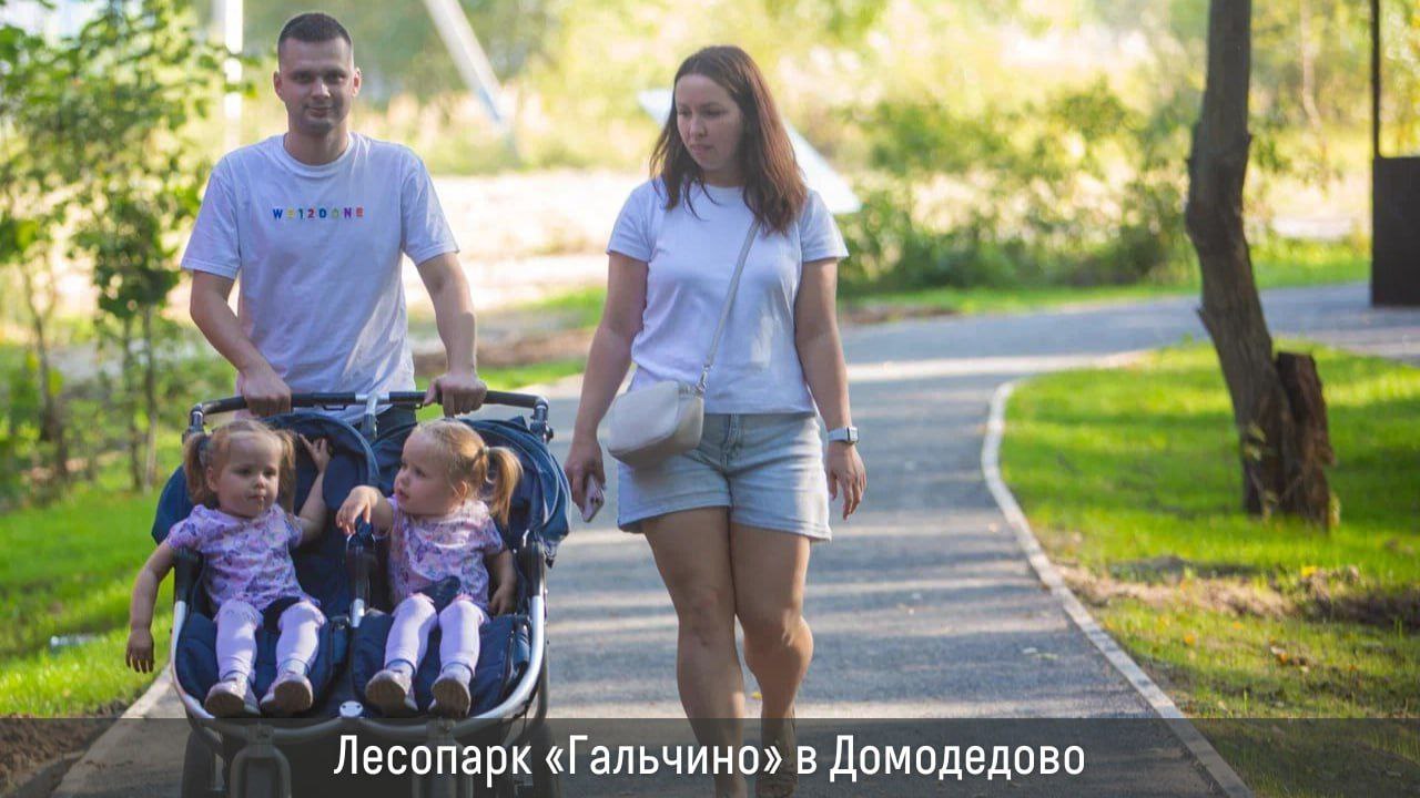 В этом году в Подмосковье запланировано благоустроить 9 лесопарков