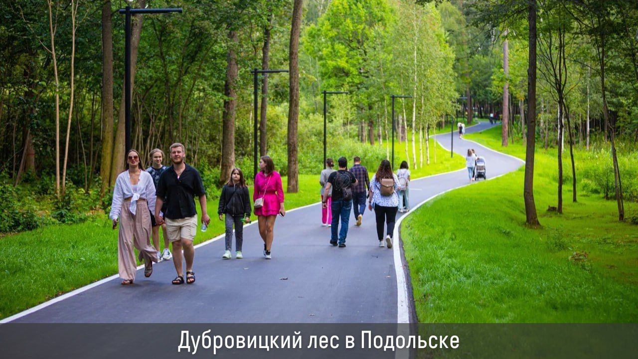 В этом году в Подмосковье запланировано благоустроить 9 лесопарков