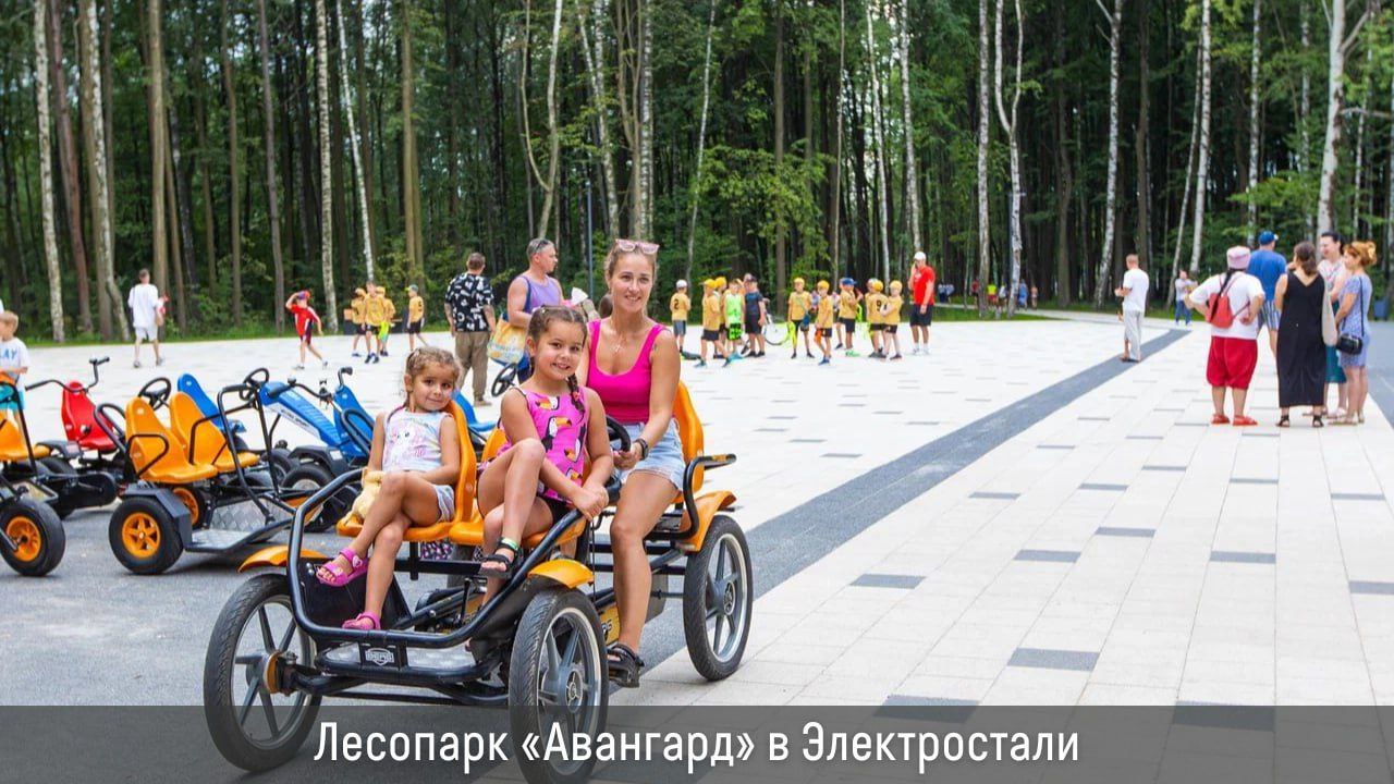 В этом году в Подмосковье запланировано благоустроить 9 лесопарков