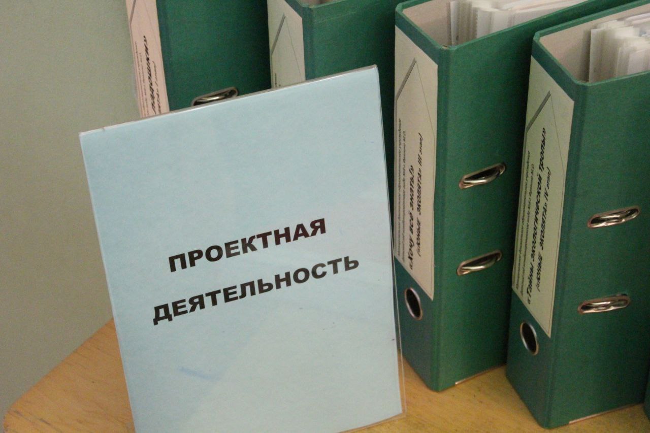 На базе дошкольного отделения фрязинской гимназии прошел очередной этап Школы педагогического мастерства